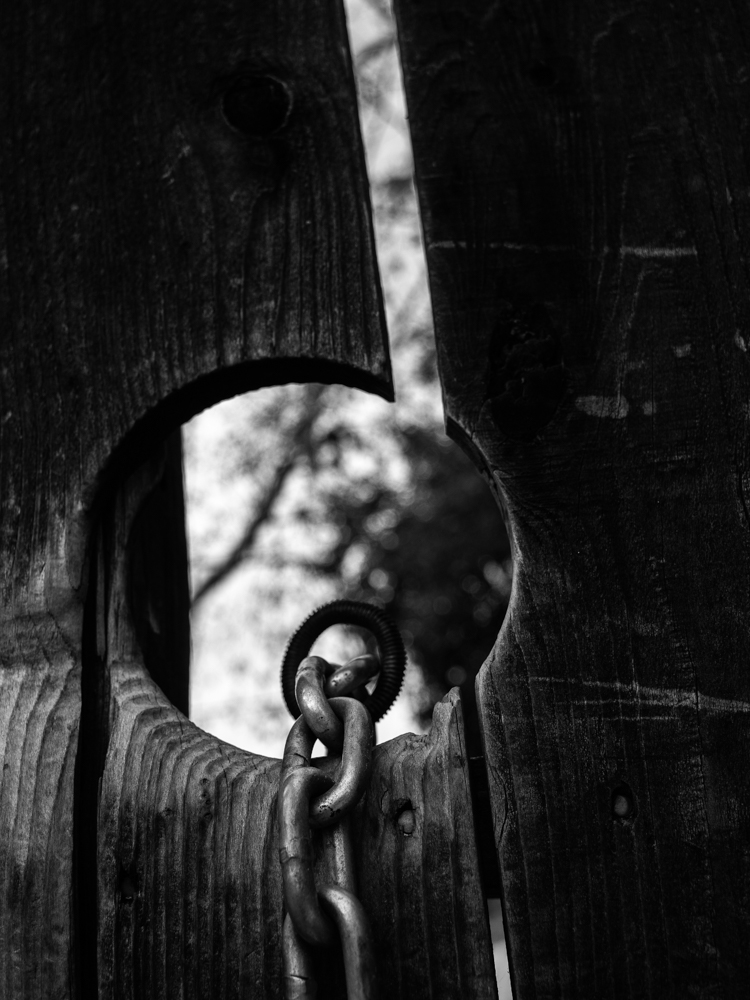 Descansco Gardens 09